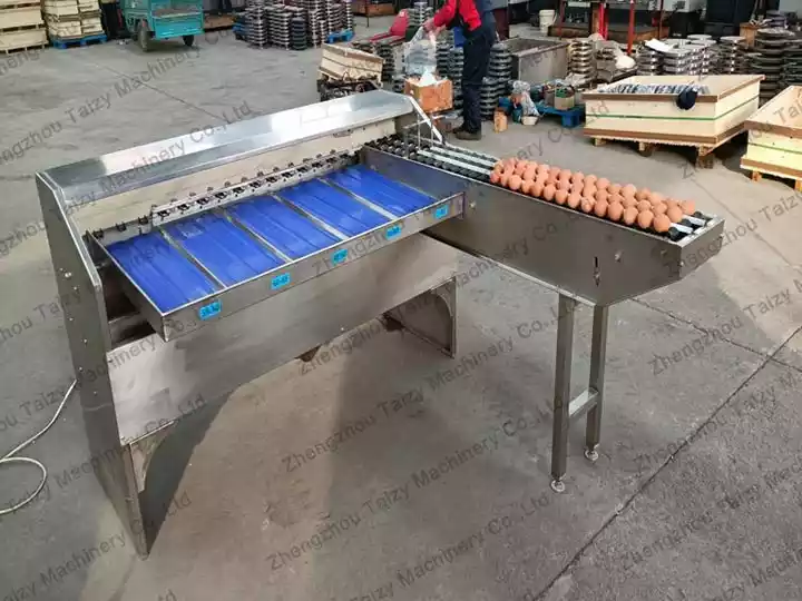 Taizy egg grader machine for sale