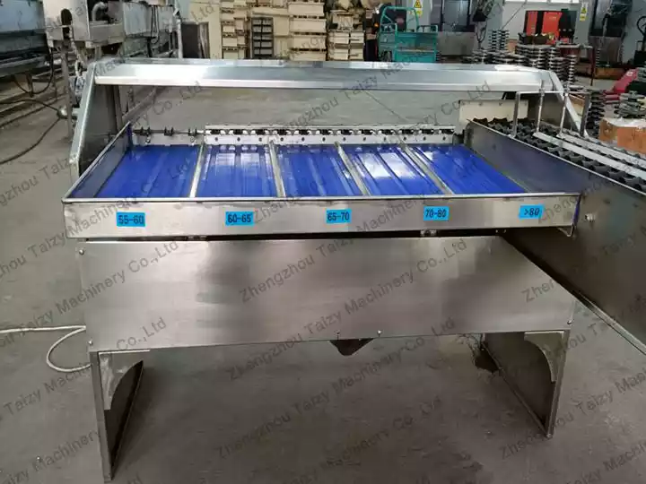egg sorting machine details
