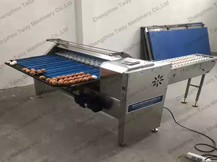 Small Egg Grading Machine Exported to South Africa: Catering to the Growing Demand for Quality Eggs