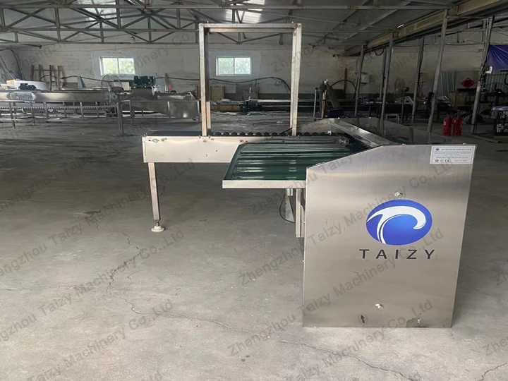 egg sorting machine factory