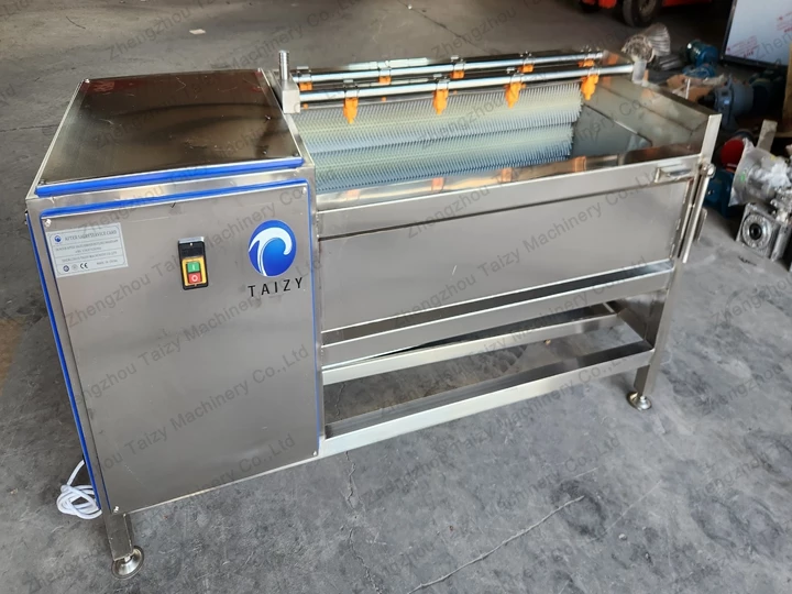 500kg/h Ginger Washing Machine for a Singaporean Spice Producer