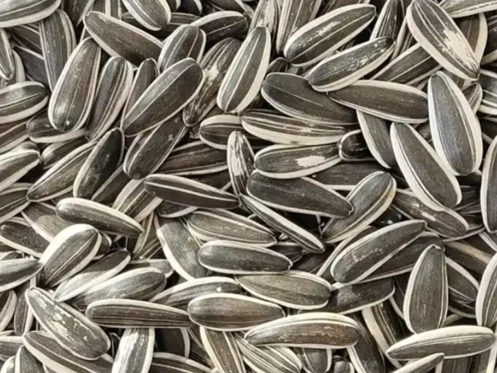 sunflower seed roasting