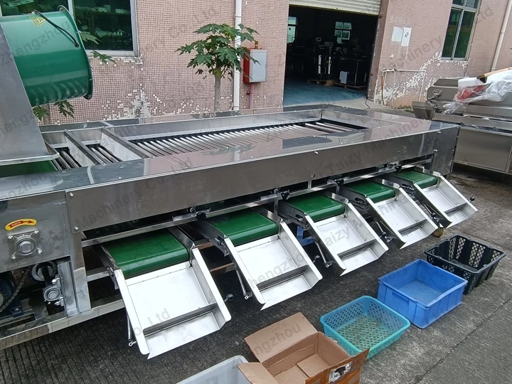 Tomato Grading Machine Exported to A New Zealand Farm