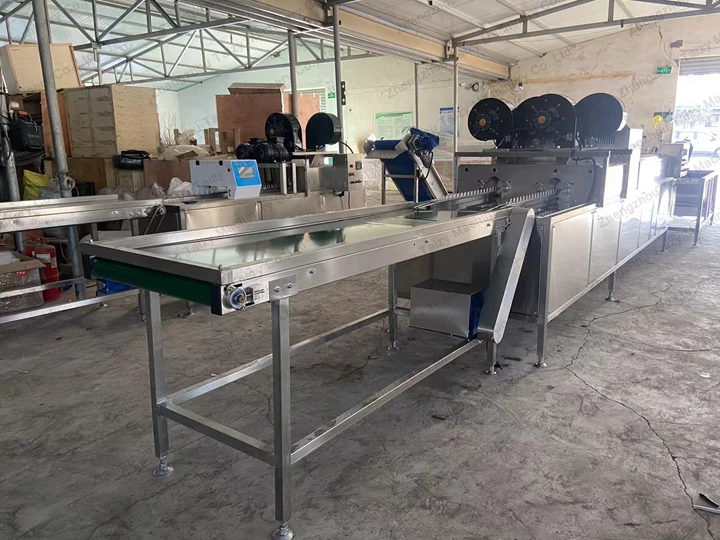 commercial egg washing line for sale