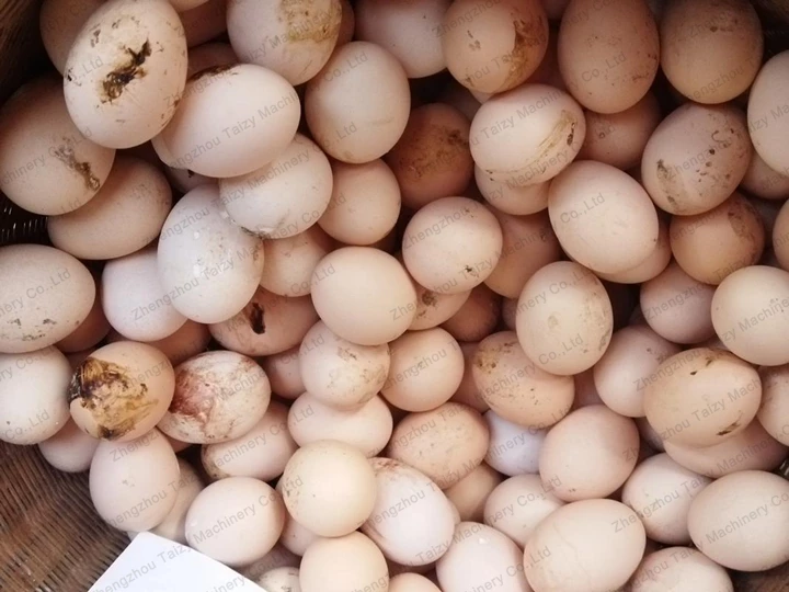 eggs for cleaning