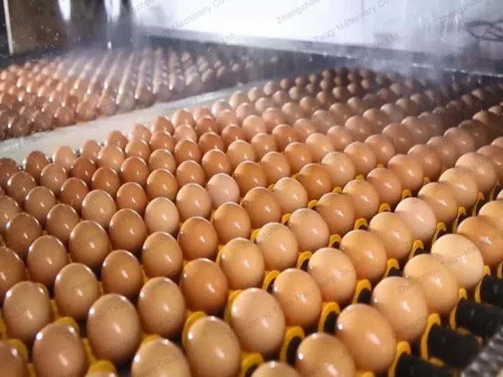 eggs washing